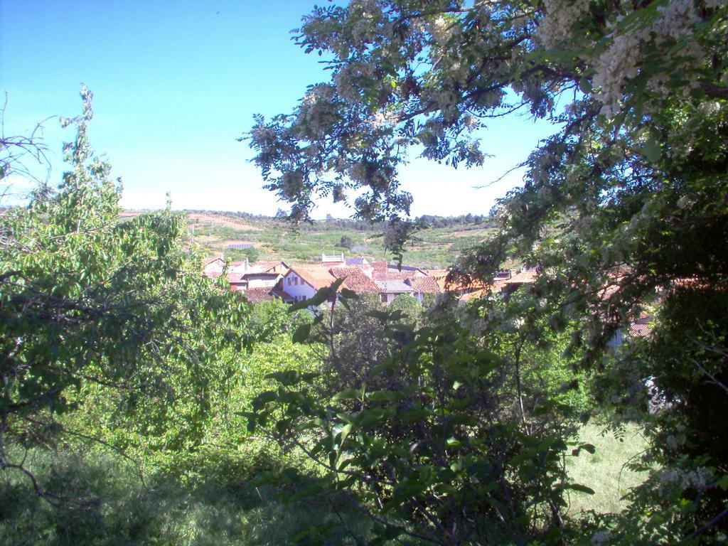 Apartamento El Dragon Serrano